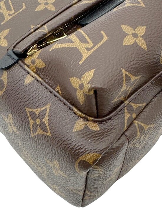 Louis Vuitton  Palm Spring Mini Monogram Canvas Backpack Brown main image 8
